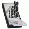Puidupuuride komplekt Bosch Robust Line, 4-10 mm, 5 tk
