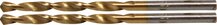 Metallipuurid Bgs Technic 2040-3 HSS-G, titaannitriid, 3,0 mm, 2 tk