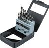 Metallipuuride komplekt Bgs Technic 2010 HSS, 1-10 mm, 19 tk