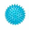 Düülidega massaažepall Gymnic Reflexball, 9 cm, sinine