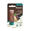 Huulepalsam Himalaya Herbals Cocoa Butter, 4,5 g