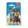 Huulepalsam Paw Patrol Blueberry, 4,4 g