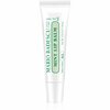 Huulepalsam Mario Badescu Mint, 10 g