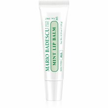 Huulepalsam Mario Badescu Mint, 10 g