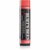 Huulepalsam Burts Bees Tinted Lip Balm, Rose, 4,25 g