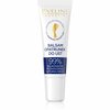 Huulepalsam Eveline Cosmetics Egyptian Miracle, 12 ml