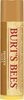 Huulepalsam Burt's Bees meega ja E-vitamiiniga, 4,25 g