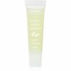 Huulepalsam Ziaja Tropical Pineapple, 12 ml