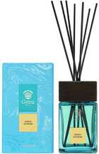 Aroomihajuti Gritti Neroli Extreme, 500 ml, türkiis