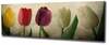 Reproduktsioon lõuendil Wallity Mioli Decor PC147, 80 x 30 cm