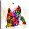 Reproduktsioon Artgeist Little Panda DKNW0426-DK, 120 x 80 cm