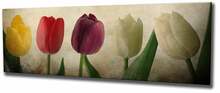 Reproduktsioon lõuendil Wallity Mioli Decor PC147, 80 x 30 cm