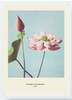 Fotomaal Wallity BC523362-5575, 55 x 75 cm