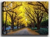 Reproduktsioon lõuendil Wallity Mioli Decor 760753912-5070, 70 x 50 cm