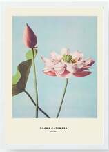 Fotomaal Wallity BC523362-5575, 55 x 75 cm