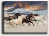 Reproduktsioon Wallity 310236866-5070, 70 x 50 cm