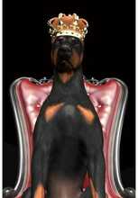 Pilt Signal Meble Dog in Crown, 80 x 120 cm