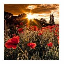 Reproduktsioon Wallity 4545NAT-13, 45 x 45 cm
