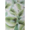 Pilt Eurofirany 50B, 60 x 90 cm