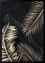 Pilt Eurofirany 482C, 53 x 73 cm