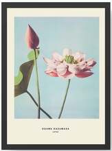 Fotomaal Wallity SC523362-3545, 35 x 45 cm