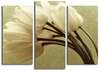 Kolmeosaline reproduktsioon Wallity 3PATK-1, 66 x 45 cm