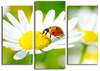 Kolmeosaline reproduktsioon Wallity 3PATK-77, 66 x 45 cm