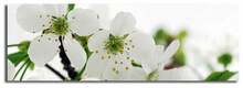 Reproduktsioon Wallity 3090C-37, 90 x 30 cm