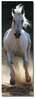 Reproduktsioon Wallity 3090C-47, 90 x 30 cm