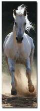Reproduktsioon Wallity 3090C-47, 90 x 30 cm