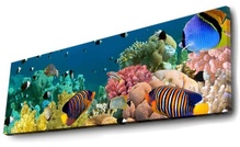 Valgustusega pilt Wallity Mioli Decor 3090DACT-13, 90 x 30 cm