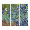 Kolmeosaline reproduktsioon Wallity Vincent van Gogh, 20 x 50 cm