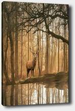 Reproduktsioon lõuendil Wallity 1276742665-5070, 70 x 50 cm