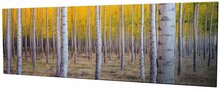 Dekoratiivne lõuendipilt Wallity PC025, 80 x 30 cm