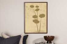 Plakat VENTURE DESIGN Flower art, 50 x 70 cm, Monkeys