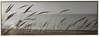 Seinapilt ART Home4you Wally Rushes, 50 x 140 cm