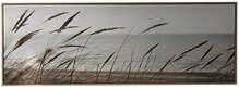 Seinapilt ART Home4you Wally Rushes, 50 x 140 cm