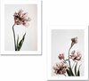 Pilt Wallity 2P3040MDFCIZ-001, 30 x 40 cm, 2 osa