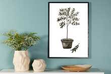 Plakat VENTURE DESIGN alyva, 30 x 40 cm, roheline