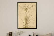 Plakat, Taimede kunst VENTURE DESIGN 70 x 100 cm, beež