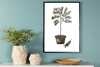 Plakat Venture Design alyva, 21 x 30 cm, roheline