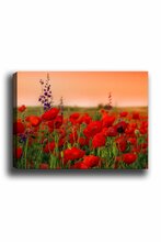 Reproduktsioon Wallity Kanvas Tablo 1, 50 x 70 cm