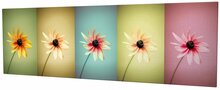 Dekoratiivne lõuendipilt Wallity PC005, 80 x 30 cm