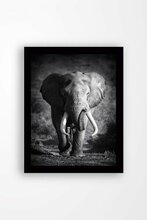Fotomaal Wallity SC0037, 41 x 56 cm