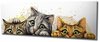 Reproduktsioon lõuendil Wallity Mioli Decor PC296, 80 x 30 cm