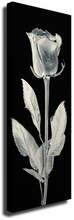 Reproduktsioon Wallity PC161, 80 x 30 cm