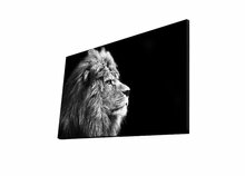 Fotomaal Wallity Mioli Decor 4570DHDACT-058, 70 x 45 cm