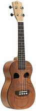 Kontsert-ukulele Stagg UC-TIKI MAIO