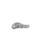 Juuksehari Dtangler, Zebra White, 1 tk