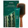 Juuksehoolduskomplekt Aveda Botanical Repair, 150 ml + puidust juuksehari